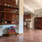 Rent 2 bedroom apartment of 63 m² in Roma