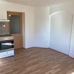 Rent 1 bedroom apartment in Děčín