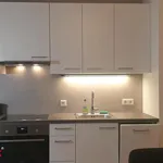 Rent 1 bedroom apartment of 31 m² in Wien
