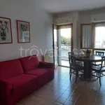 Rent 2 bedroom apartment of 50 m² in Nettuno