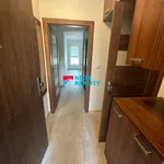 Rent 1 bedroom apartment of 33 m² in Ostrava