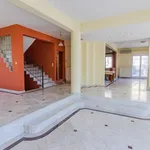 Rent 1 bedroom apartment of 240 m² in Larissa