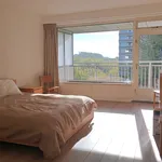 Rent 3 bedroom apartment of 132 m² in Amsterdam