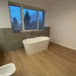 Rent 5 bedroom house of 240 m² in Szczecin