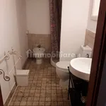 Affitto 1 camera appartamento di 28 m² in Pontedera