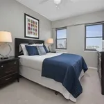 Rent 1 bedroom apartment in Chicago