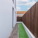 Rent 1 bedroom apartment in Lisbon