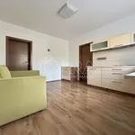 Rent 2 bedroom apartment in Brno