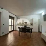 Rent 2 bedroom apartment of 50 m² in Mondovì