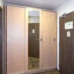 Rent 1 bedroom apartment of 33 m² in Brno