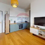 Rent 2 bedroom apartment of 45 m² in Milano