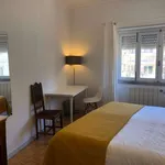 Rent a room of 80 m² in lisbon