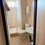 Rent 1 bedroom apartment of 10 m² in Nedvědice