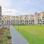 Rent 1 bedroom apartment in Sheffield