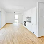 Miete 2 Schlafzimmer wohnung von 45 m² in Vienna