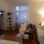 Rent 1 bedroom apartment in Nový Jičín