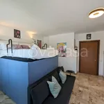 Rent 1 bedroom apartment of 36 m² in Venezia