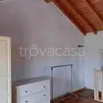 Rent 3 bedroom apartment of 70 m² in Tarquinia