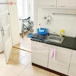 Rent 1 bedroom apartment of 12 m² in Trhový Štěpánov