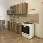 Pronajměte si 4 ložnic/e byt o rozloze 135 m² v Benešov