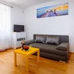 Rent 1 bedroom apartment of 60 m² in Prague