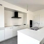 Rent 1 bedroom apartment in Waregem