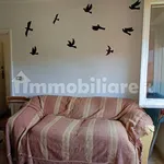 Rent 4 bedroom apartment of 50 m² in Campobasso