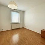 Rent 3 bedroom apartment of 73 m² in Brno