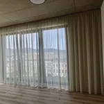 Rent 3 bedroom apartment of 61 m² in Liberec