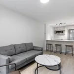  appartement avec 1 chambre(s) en location à Montreal