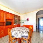 Rent 2 bedroom apartment of 50 m² in Turin