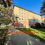 Rent 1 bedroom apartment of 28 m² in Trhový Štěpánov