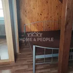 Rent 1 bedroom apartment of 50 m² in Plzeň