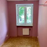 Rent 2 bedroom apartment of 36 m² in Toruń