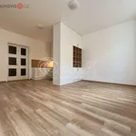 Pronajměte si 1 ložnic/e byt o rozloze 45 m² v Brno