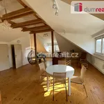 Rent 1 bedroom apartment of 98 m² in Prague