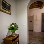 Rent 1 bedroom apartment in Florence