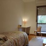 Rent a room in Padova