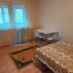 Rent 1 bedroom apartment in Lovnic