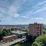 Rent 4 bedroom apartment of 110 m² in Turin