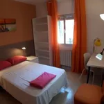 Rent 4 bedroom apartment in Madrid