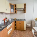 Rent 1 bedroom apartment of 30 m² in Hradec Králové