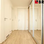 Pronajměte si 2 ložnic/e byt o rozloze 58 m² v Brno