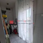 Rent 5 bedroom apartment of 90 m² in Pisa