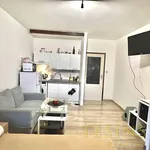 Rent 1 bedroom apartment of 29 m² in Český Těšín