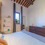 Rent 1 bedroom apartment in Rome