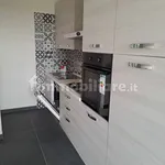 Rent 3 bedroom apartment of 80 m² in Turin