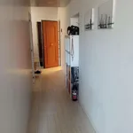 Rent 1 bedroom apartment of 75 m² in venezia