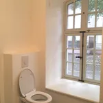 Appartement de 35 m² avec 1 chambre(s) en location à SELESTAT