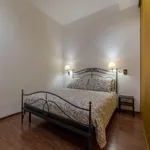 Rent 1 bedroom apartment in Rome